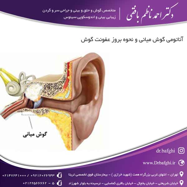 آناتومی گوش میانی و نحوه بروز عفونت گوش دکتر احمد ناظم بافقی